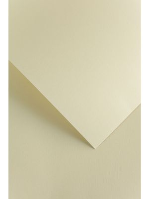Galeria Papieru ozdobný papír Florida ivory 220g, 20ks