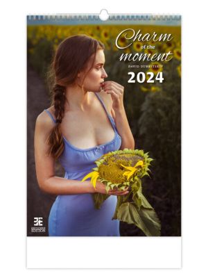 Kalendář Charm of the Moment